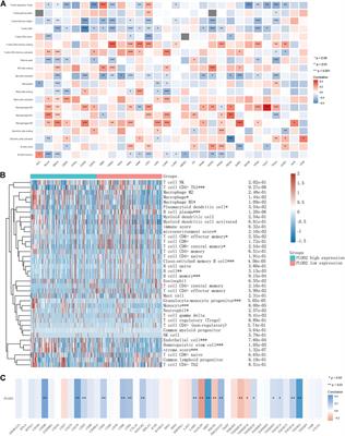 Pan-Cancer Analyses Reveal Oncogenic and Immunological Role of PLOD2